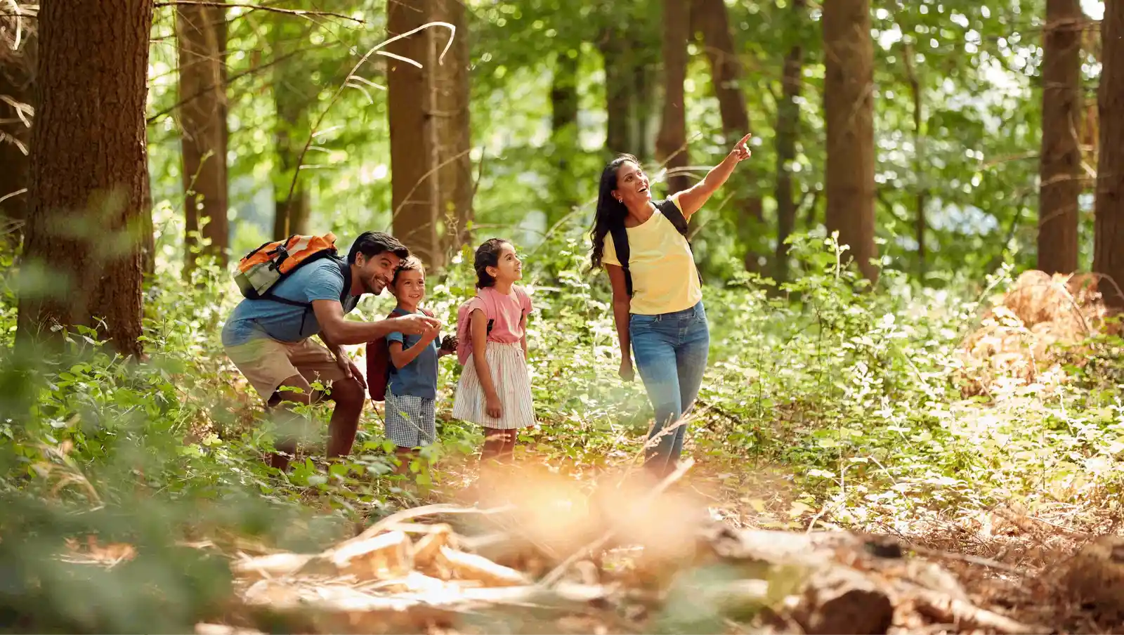 Guided Nature Walks